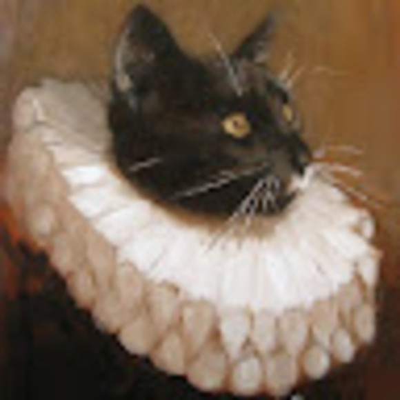 Meet your Posher, Avaa - Picture 1 of 1